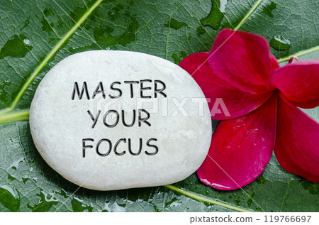 Master Your Focus text engraved on white stones red flower and leaf background Master Your Focus text engraved on white stones red flower and leaf background 119766697