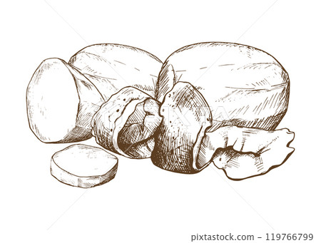 Potatoes in skins, whole, peeled, with a spiral of peelings. Graphic illustration hand drawn in brown ink. EPS vector on the theme of harvest cooking, food, packaging, vegetable shop design. Potatoes in skins, whole, peeled, with a spiral of peelings. Graphic illustration hand drawn in brown ink. EPS vector on the theme of harvest cooking, food, packaging, vegetable shop design. 119766799