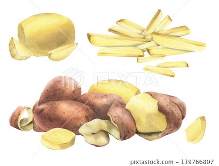 Red potatoes whole, half, cut, peeled and wedges. Watercolor hand drawn illustration on the theme of harvesting, cooking, food, vegetable shop design. Set of elements isolated from background Red potatoes whole, half, cut, peeled and wedges. Watercolor hand drawn illustration on the theme of harvesting, cooking, food, vegetable shop design. Set of elements isolated from background 119766807