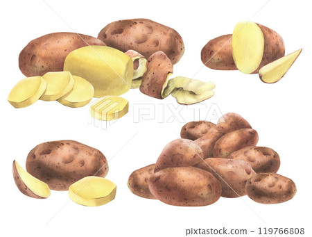 Red potatoes whole, half, cut, peeled and wedges. Watercolor hand drawn illustration on the theme of harvesting, cooking, food, vegetable shop design. Set of elements isolated from background 119766808