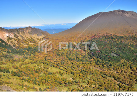 Yellow leaves of larch trees and Mt. Asama (2) Yellow leaves of larch trees and Mt. Asama (2) 119767175