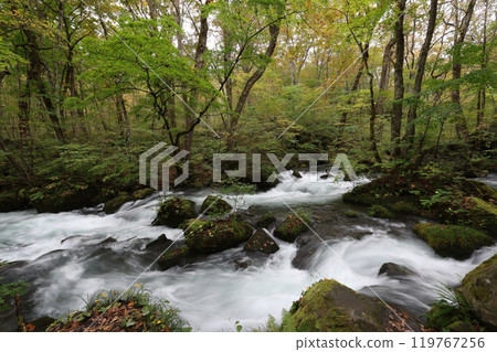 Oirase of Ashura Flow 119767256