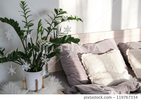 Home plant Zamioculcas is decorated with knitted snowflakes. Alternative Christmas tree 119767334
