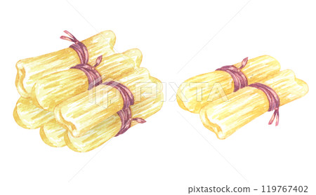 Homemade Wrapped Tamales isolated on white background. Hand painted watercolor traditional mexican food. Best for restaurant menu designs, flyers and banners 119767402