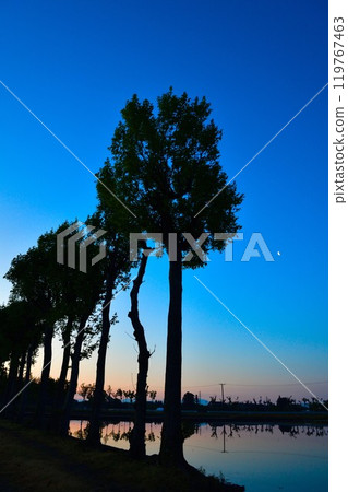 Natsui's Hasagi morning view (Niigata Prefecture) Natsui's Hasagi morning view (Niigata Prefecture) 119767463