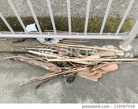 Floating debris cleared from the shore Floating debris cleared from the shore 119767559