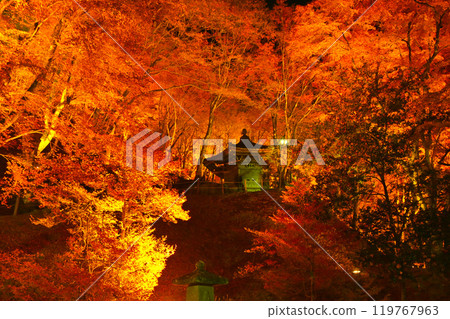 Illumination of autumn leaves at Korankei and Taishido 119767963