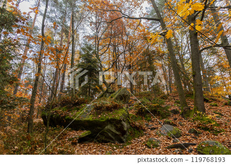 Discover the magic of autumn in this captivating image of mossy rocks nestled deep within a lush forest. The vibrant fall foliage and ancient rocks create a mysterious and enchanting atmosphere. Discover the magic of autumn in this captivating image of mossy rocks nestled deep within a lush forest. The vibrant fall foliage and ancient rocks create a mysterious and enchanting atmosphere. 119768193