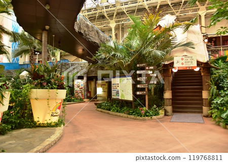 Fukushima Prefecture Spa Resort Hawaiians Water Park Fukushima Prefecture Spa Resort Hawaiians Water Park 119768811