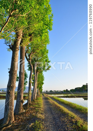 Natsui's Hatasaki (Niigata Prefecture) 119768990