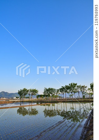 Natsui's Hatasaki (Niigata Prefecture) Natsui's Hatasaki (Niigata Prefecture) 119768993