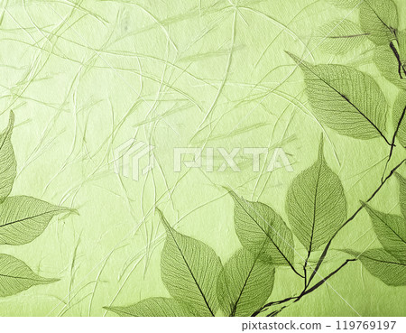 Japanese paper texture image material: Leaf pattern, green 119769197