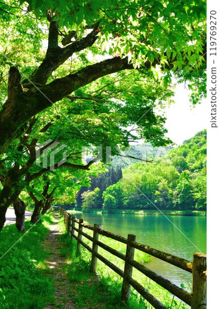 Kamo Water Source with Fresh Greenery (Niigata Prefecture) Kamo Water Source with Fresh Greenery (Niigata Prefecture) 119769270
