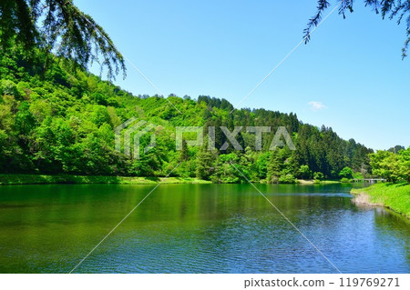 Kamo Water Source with Fresh Greenery (Niigata Prefecture) Kamo Water Source with Fresh Greenery (Niigata Prefecture) 119769271