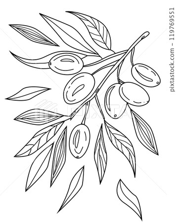 coloring page an olive branch coloring page an olive branch 119769551