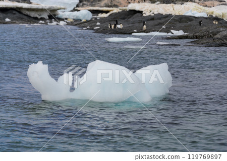 Ice floating in Antarctic sea 119769897