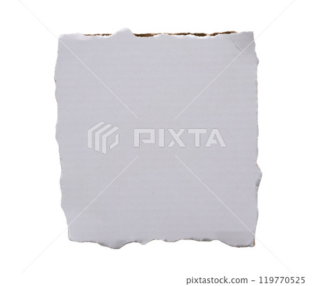 piece of white paper tear isolated on white background 119770525