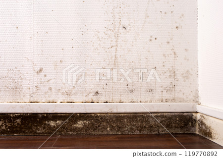 excessive moisture, Black mold and water damage on wall near baseboard white wallpaper dark wood floor indoor environmental problem concept awareness and prevention, 119770892