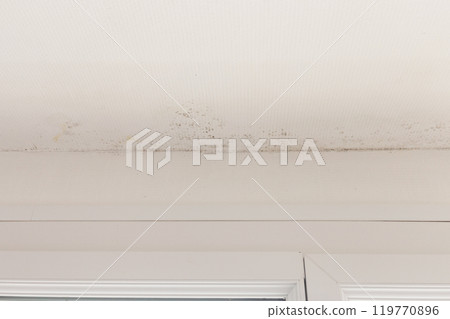White textured ceiling with visible mold spots and moisture damage near window frame indoor air quality problem and prevention design concept excessive apartment moisture mildewed walls, 119770896