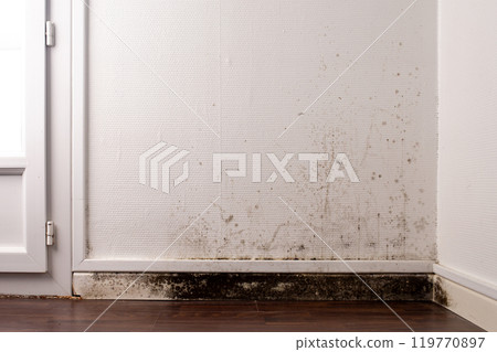 Wall with black mold and water damage near baseboard in room corner with white textured wallpaper and dark wood floor indoor environmental issue prevention and awareness concept 119770897