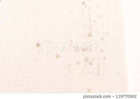 Wall with black mold in room corner with white textured wallpaper, indoor environmental issue prevention and awareness concept, 119770902