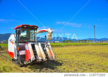 Scenery to harvest rice with combine Scenery to harvest rice with combine 119771093