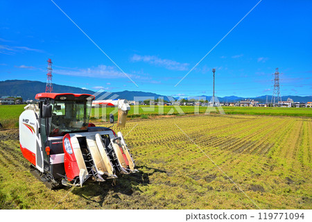 Scenery to harvest rice with combine 119771094