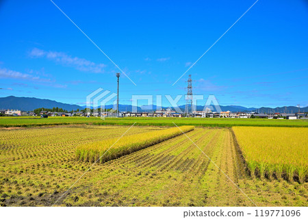 秋天的果實盛開的田園風光 119771096