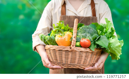 採取的新鮮蔬菜 119771257