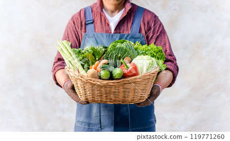 Fresh vegetables taken Fresh vegetables taken 119771260