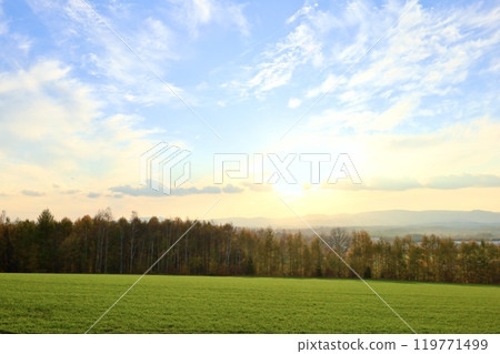 Biei hills in autumn near sunset Biei hills in autumn near sunset 119771499