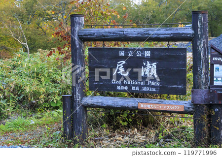 Autumn in Oze: Autumn foliage in the grass and forests, from Hatomachi Pass to Yamanohana Autumn in Oze: Autumn foliage in the grass and forests, from Hatomachi Pass to Yamanohana 119771996