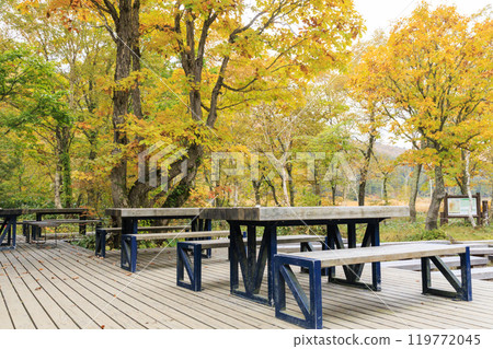 Autumn in Oze: Autumn foliage in the grass and forests, from Hatomachi Pass to Yamanohana Autumn in Oze: Autumn foliage in the grass and forests, from Hatomachi Pass to Yamanohana 119772045