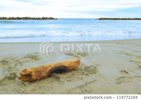 夏末的浮木和大海 夏末的浮木和大海 119772284