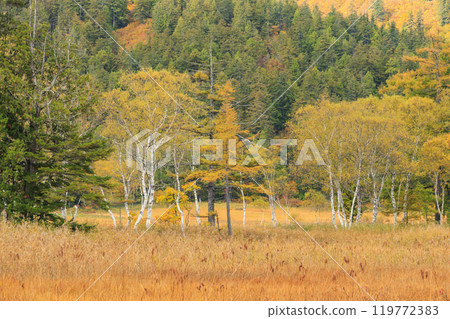 Autumn in Oze: Autumn leaves of grass and forest, Yamanohana to Ryugu Autumn in Oze: Autumn leaves of grass and forest, Yamanohana to Ryugu 119772383