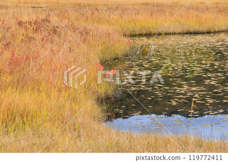 Autumn in Oze: Autumn leaves of grass and forest, Yamanohana to Ryugu 119772411