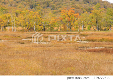 Autumn in Oze: Autumn leaves of grass and forest, Yamanohana to Ryugu 119772420