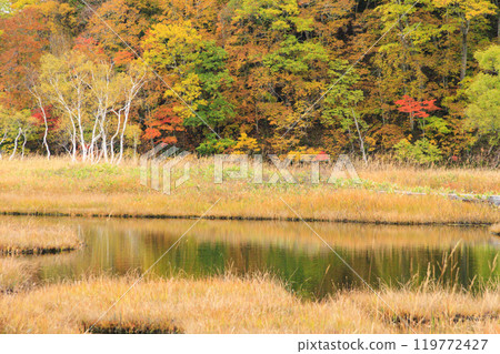 Autumn in Oze: Autumn leaves of grass and forest, Yamanohana to Ryugu 119772427