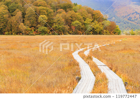 Autumn in Oze: Autumn leaves of grass and forest, Yamanohana to Ryugu 119772447