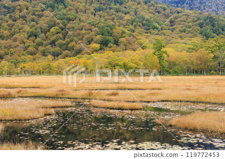 Autumn in Oze: Autumn leaves of grass and forest, Yamanohana to Ryugu 119772453