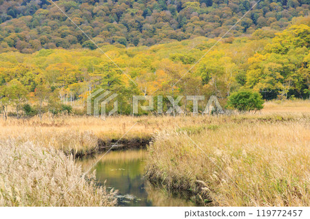 Autumn in Oze: Autumn leaves of grass and forest, Yamanohana to Ryugu 119772457