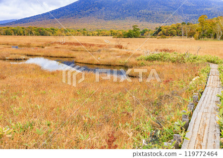 Autumn in Oze: Autumn leaves of grass and forest, Yamanohana to Ryugu Autumn in Oze: Autumn leaves of grass and forest, Yamanohana to Ryugu 119772464