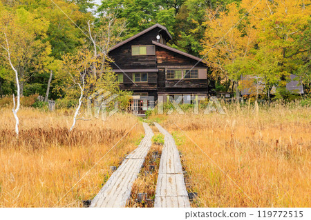 Autumn in Oze: Autumn leaves of grass and forest, Yamanohana to Ryugu Autumn in Oze: Autumn leaves of grass and forest, Yamanohana to Ryugu 119772515