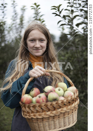 girl holds  basket  with juicy apples in the garden 119772783