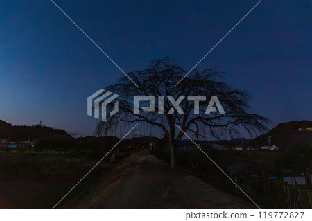Hongo, Kakegawa City, Shizuoka Prefecture Tenryu Hamanako Railway and scenery along the line Hongo, Kakegawa City, Shizuoka Prefecture Tenryu Hamanako Railway and scenery along the line 119772827