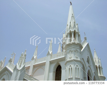 San Thome Cathedral, Chennai, India 119773334