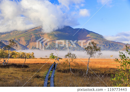 秋天的尾瀨,草地上的秋葉和森林裡的秋葉,龍宮三原 秋天的尾瀨,草地上的秋葉和森林裡的秋葉,龍宮三原 119773443