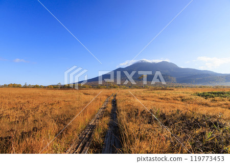 Autumn in Oze: Autumn leaves in the grass and forests: Ryugu-Miharashi 119773453