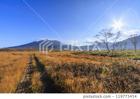 秋天的尾瀨，草地上的秋葉和森林裡的秋葉，龍宮三原 119773454