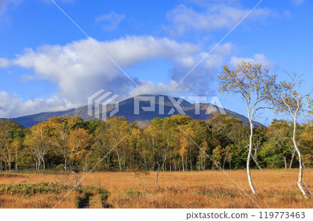 秋天的尾瀨，草地上的秋葉和森林裡的秋葉，龍宮三原 119773463
